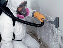 Rockwood, TN Mold Remediation Company